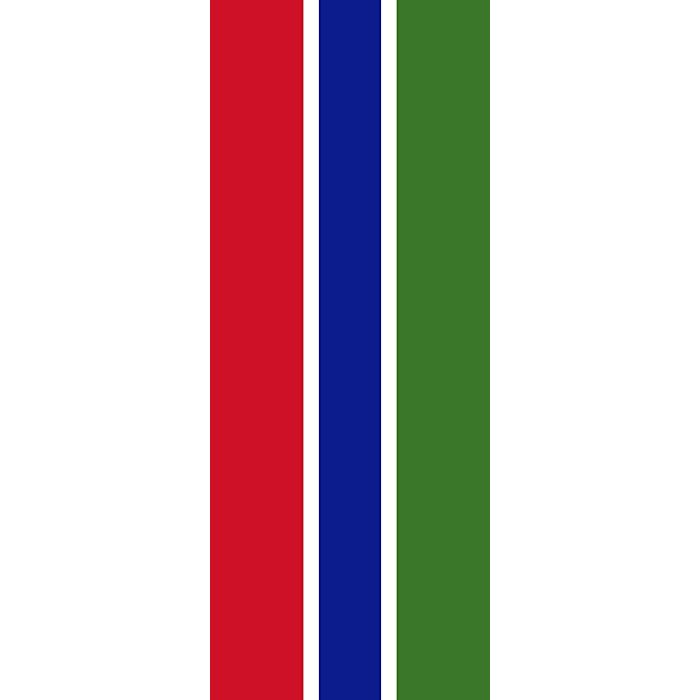 Gambia Flag PNG Background