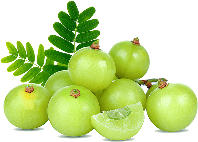 Gooseberry Download Free PNG