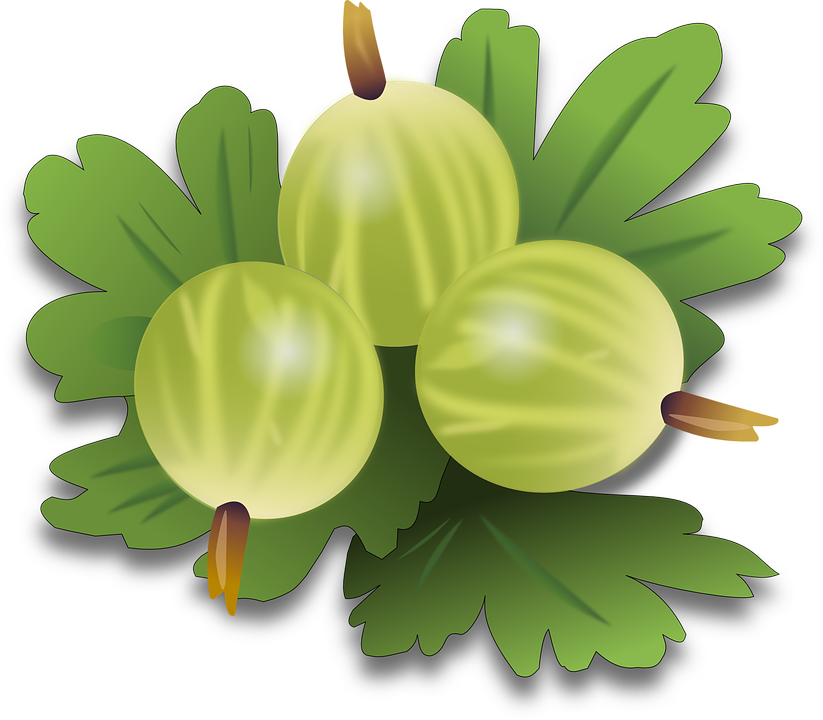 Gooseberry PNG Photo Image