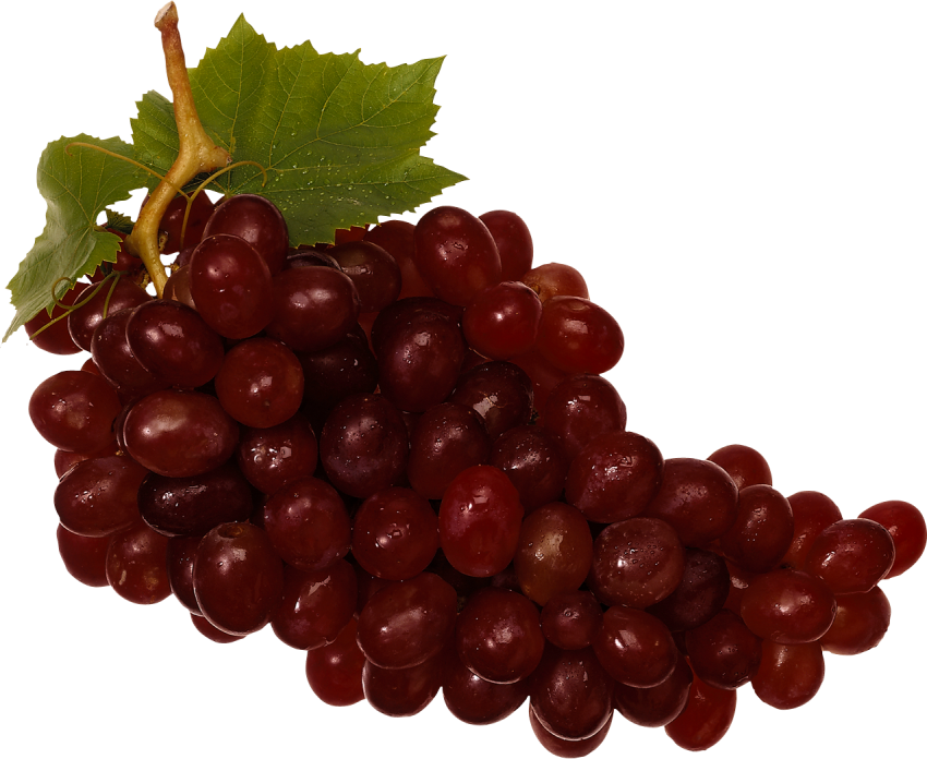Grape Download Free PNG