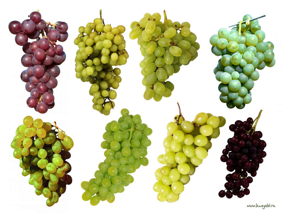 Grape PNG Clipart Background