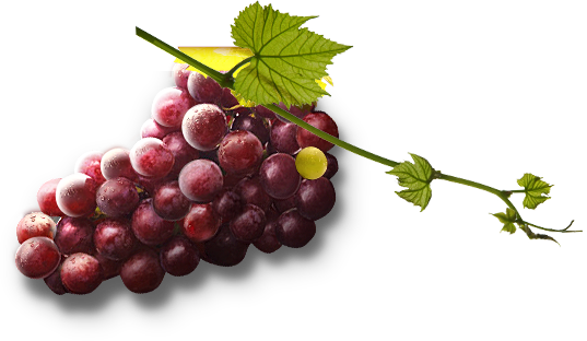 Grape Transparent Free PNG