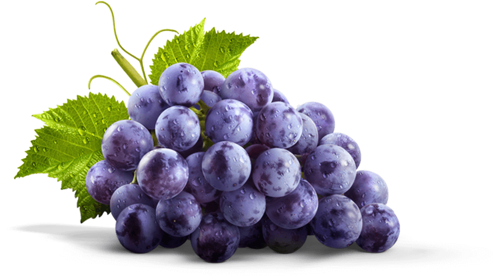 Grape Transparent Image