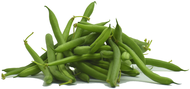 Green Bean PNG Clipart Background