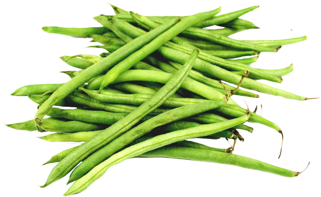 Green Long Beans PNG Clipart Background