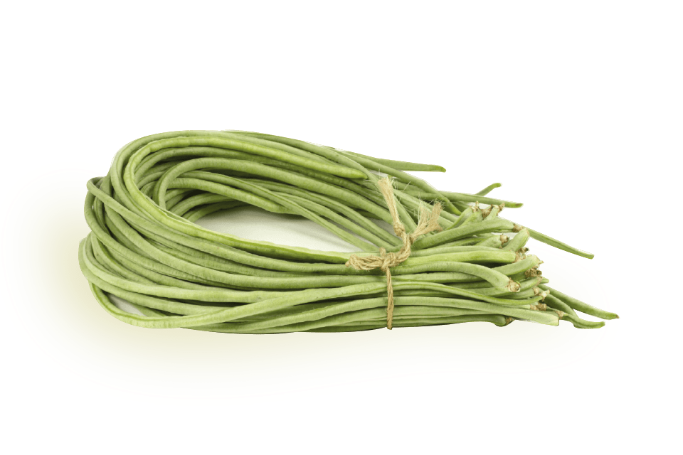 Green Long Beans PNG Free File Download