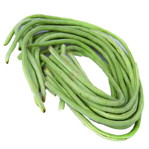 Green Long Beans PNG Pic Background
