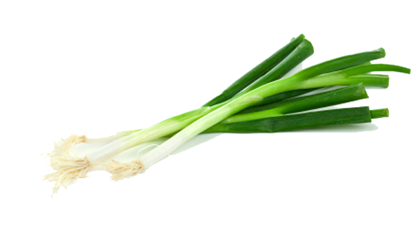 Green Onion Background PNG Image