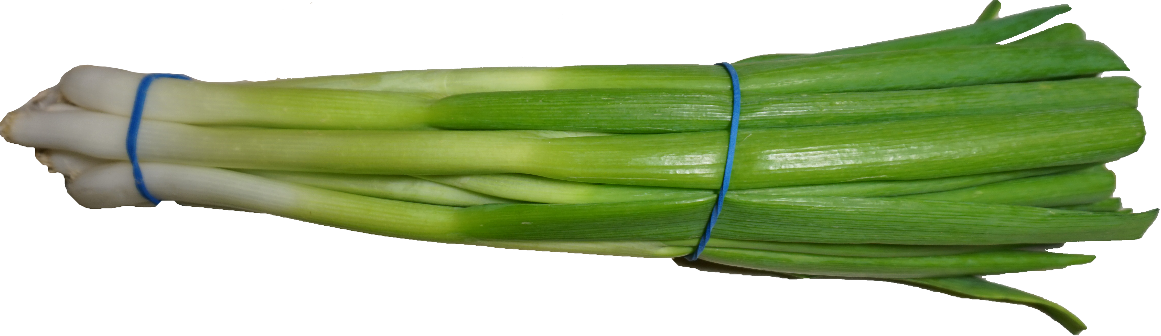 Green Onion Background PNG