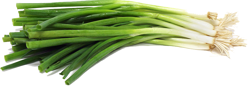 Green Onion Free PNG