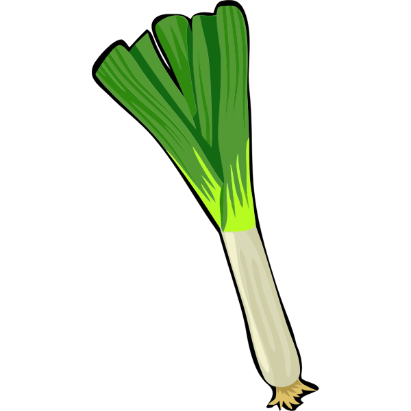 Green Onion PNG Clipart Background