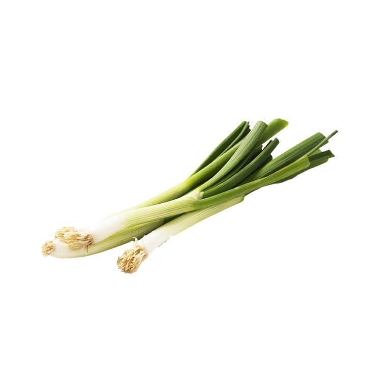 Green Onion PNG Free File Download