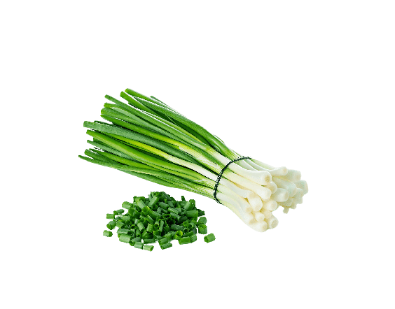 Green Onion PNG Images HD