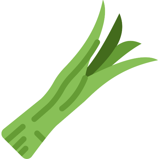 Green Onion PNG Photo Image