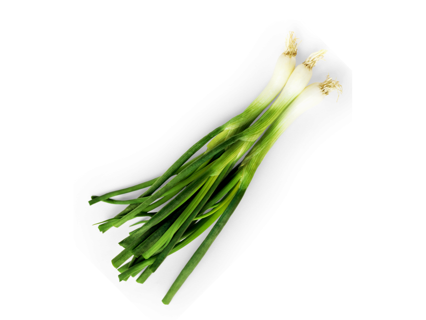 Green Onion Transparent Image