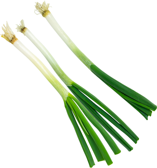 Green Onion Transparent Images