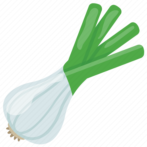 Green Onion Transparent PNG