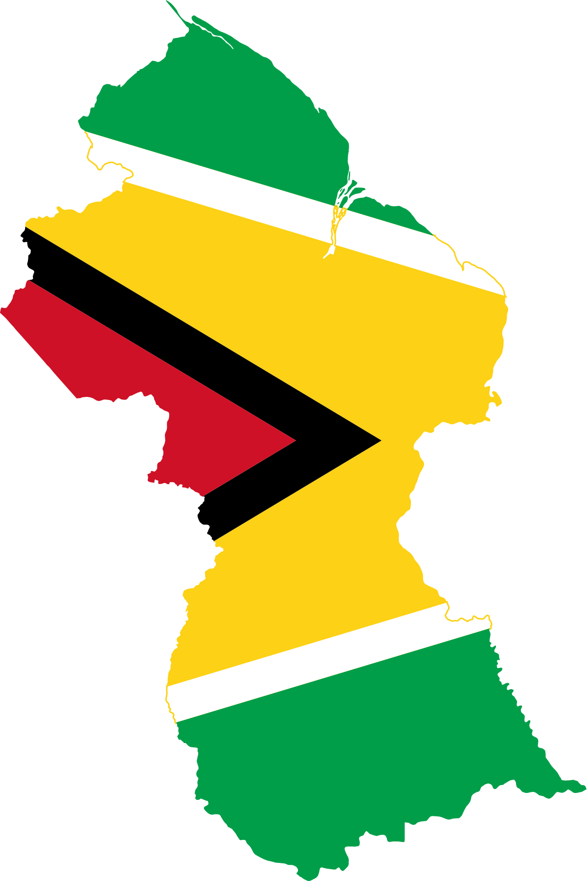 Guyana Flag Background PNG