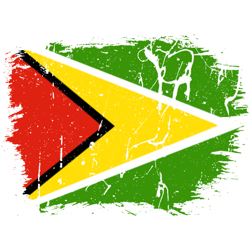 Guyana Flag Download Free PNG