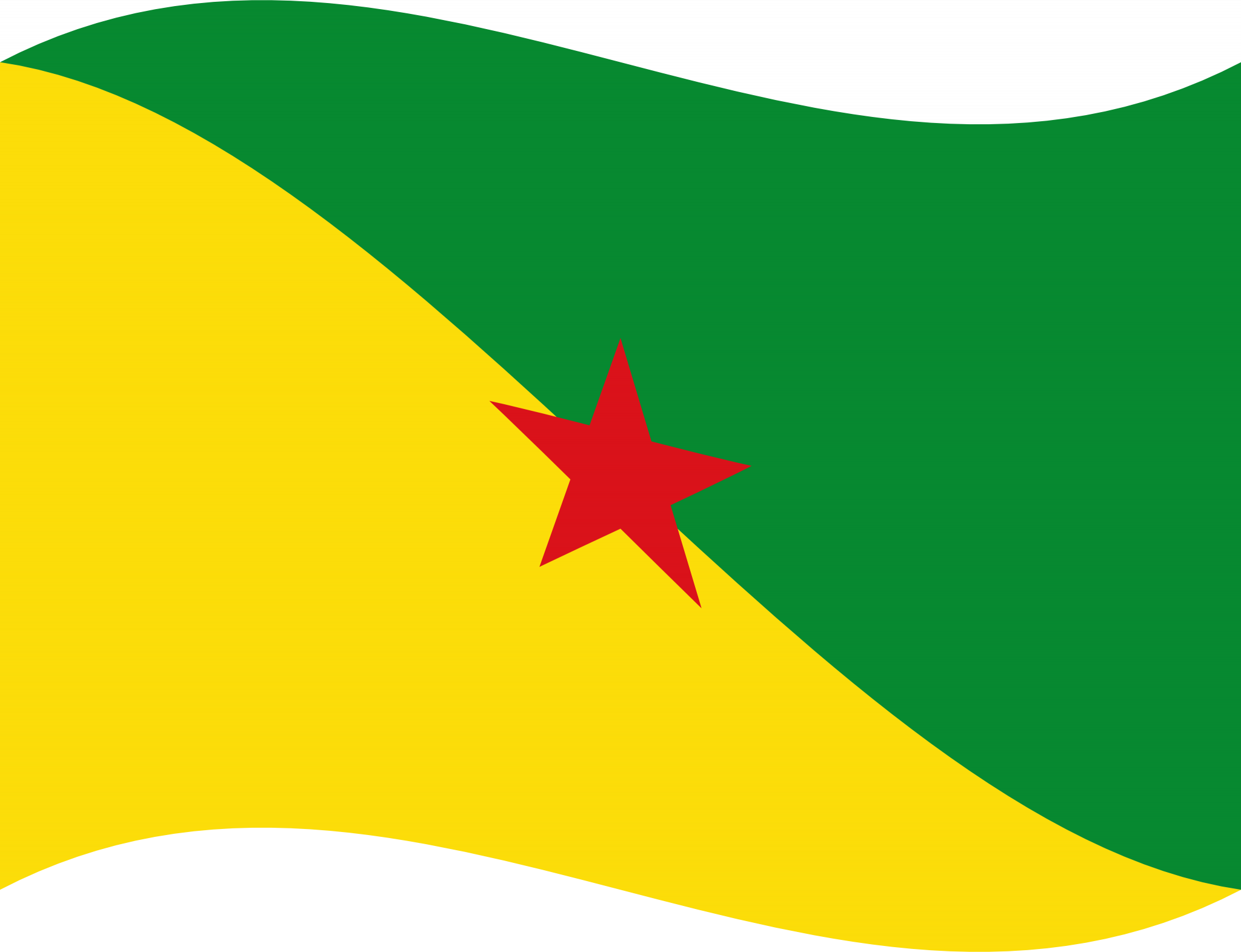 Guyana Flag No Background