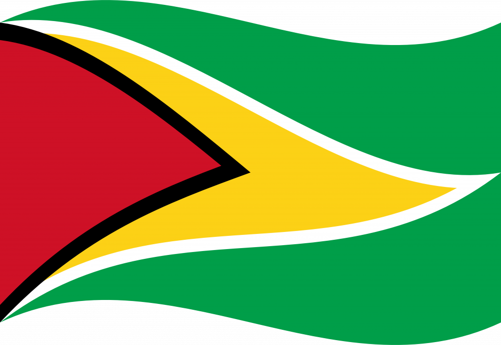 Guyana Flag PNG Pic Background