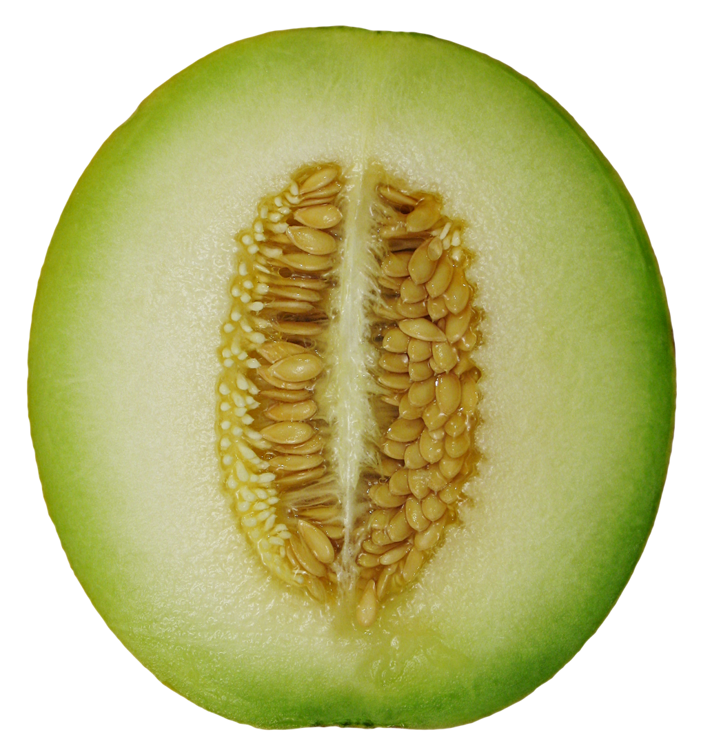 Honeydew Melon PNG Photo Image