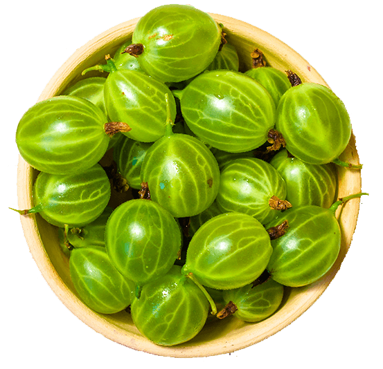 Indian Gooseberry Download Free PNG