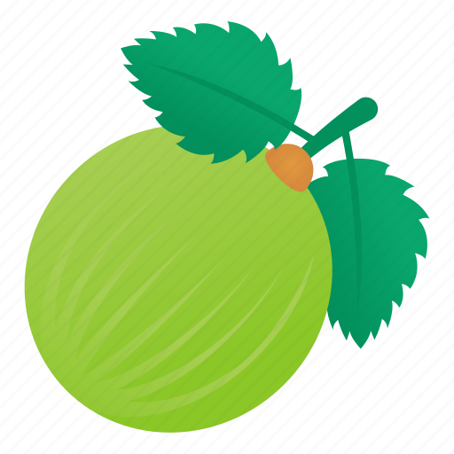 Indian Gooseberry PNG Clipart Background