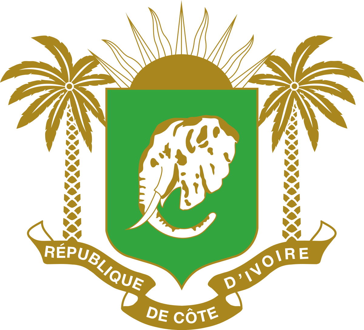 Ivory Coast Flag Background PNG Image