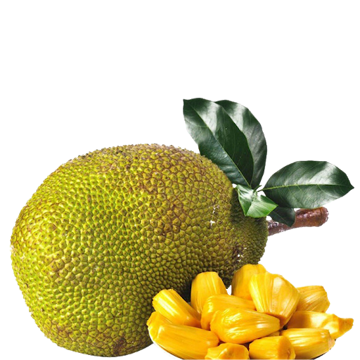 Jackfruit PNG Background