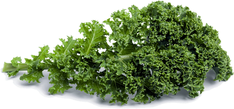 Kale Background PNG Image