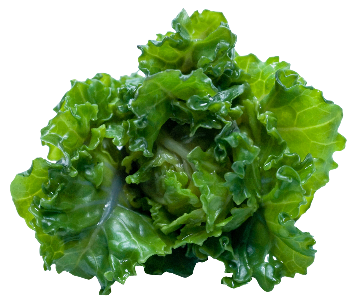 Kale PNG Photo Image