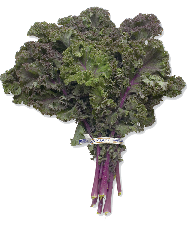 Kale PNG Pic Background