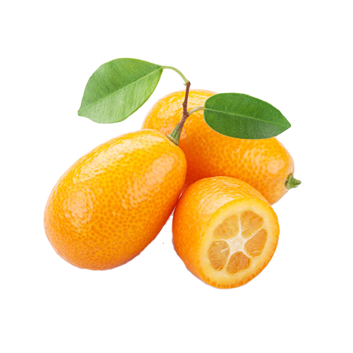 Kumquat Free PNG