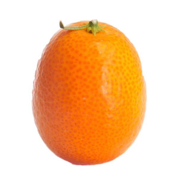 Kumquat Transparent Free PNG