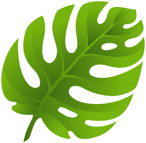 Leaf PNG Background