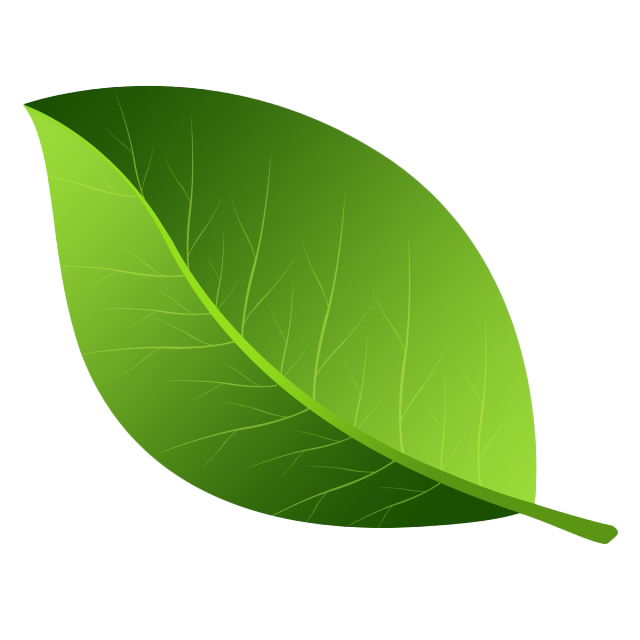 Leaf Transparent Image