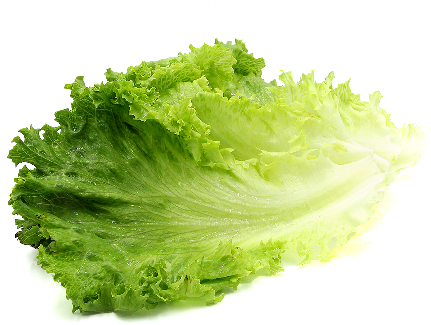 Lettuce Transparent Image