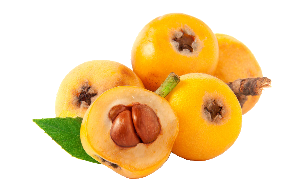 Loquat Free Picture PNG