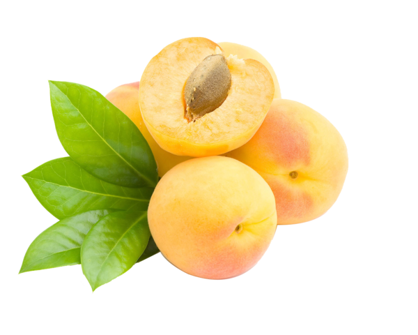 Loquat PNG Pic Background