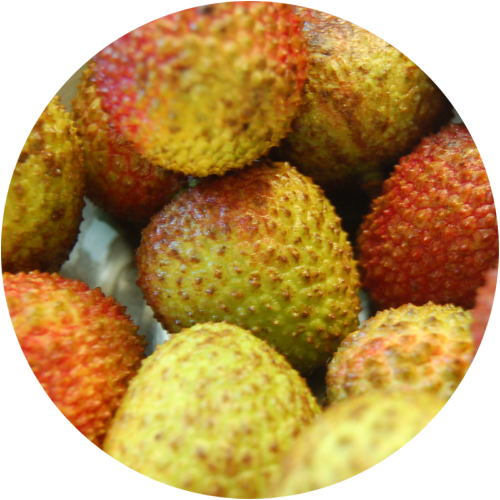 Lychee Download Free PNG
