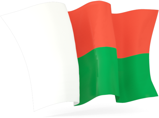 Madagascar Flag Free PNG