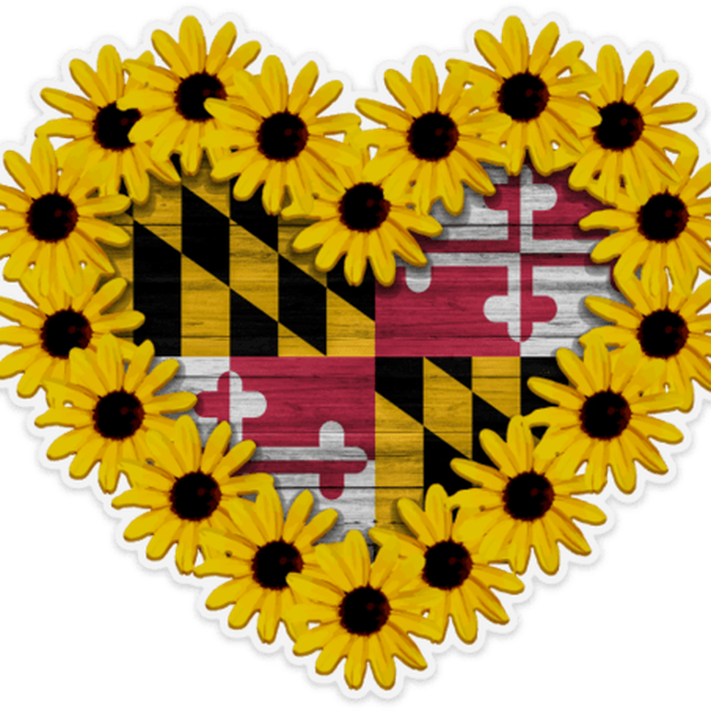 Maryland State Flag Free PNG