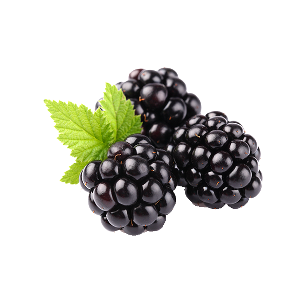 Mulberry Download Free PNG