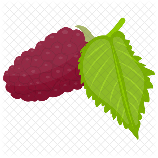Mulberry PNG Background