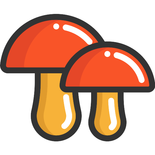 Mushroom Download Free PNG