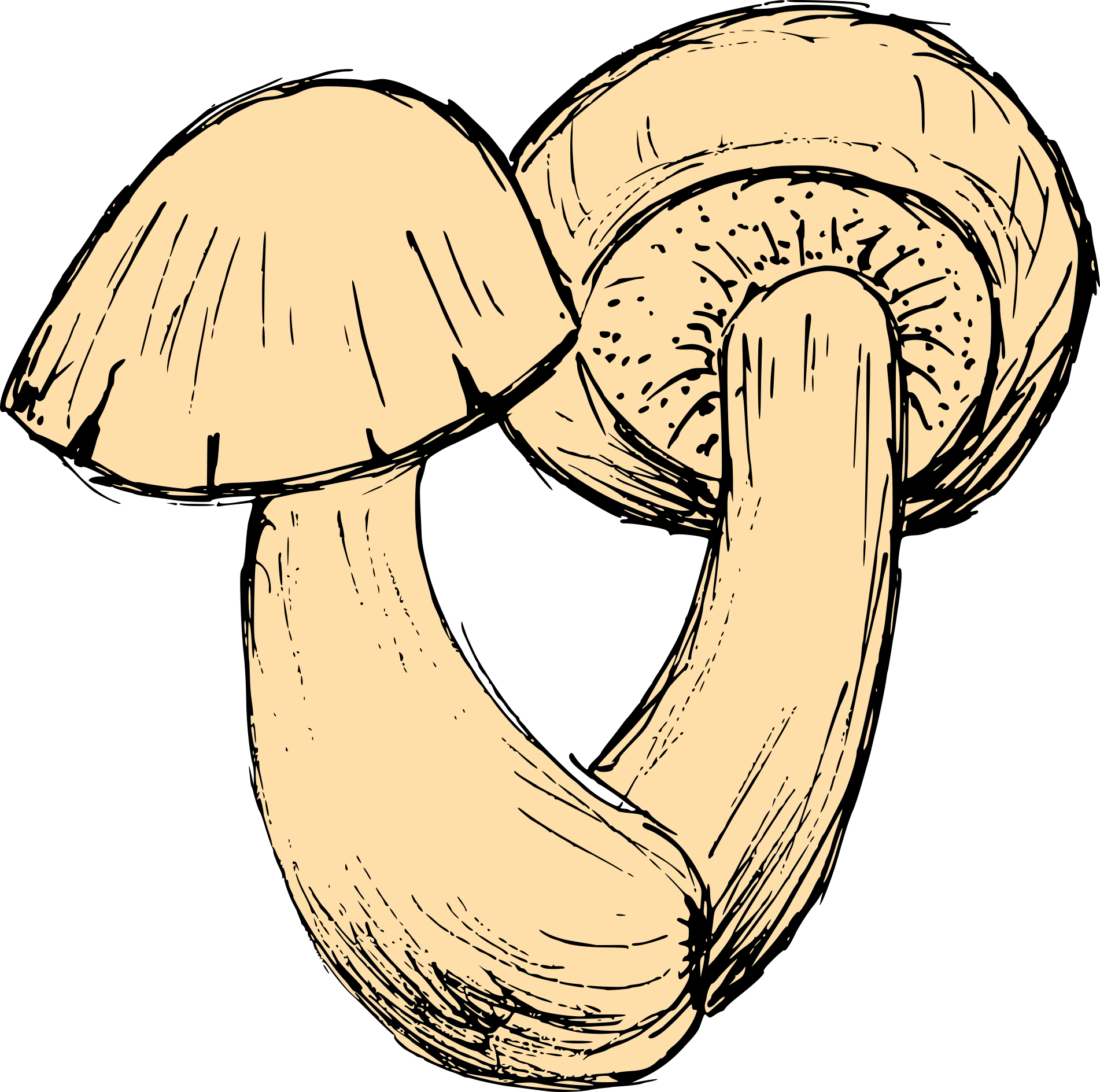 Mushroom Free PNG