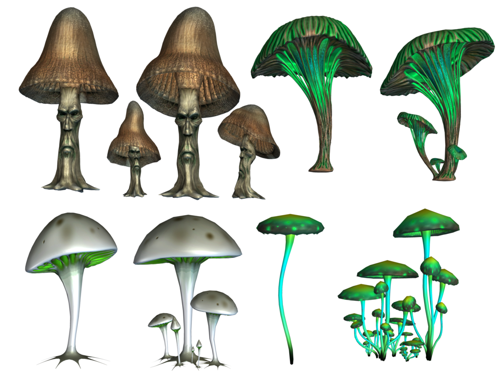 Mushroom PNG Background