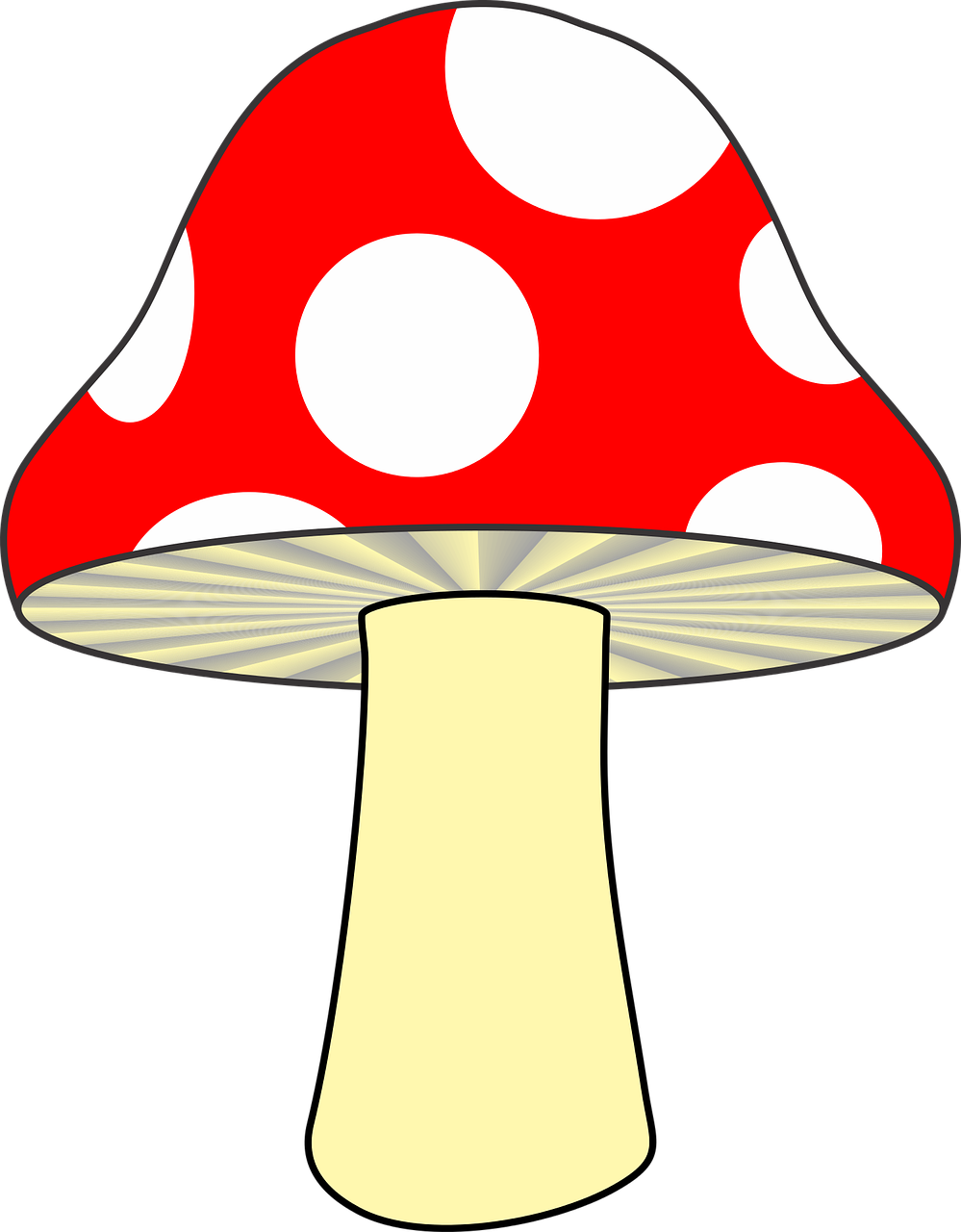 Mushroom PNG Photos
