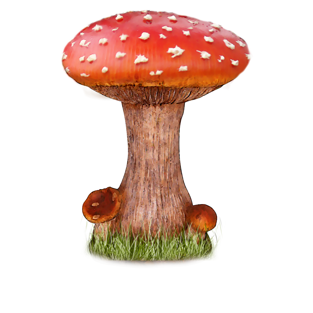 Mushroom Transparent File